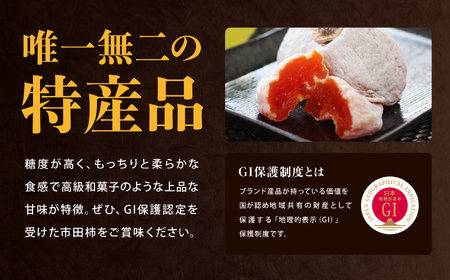 信州 特産品 市田柿 極 贈答用 2Lサイズ 12個入 〈2026年1月上旬～2月下旬発送〉| 果物 くだもの フルーツ 柿 干し柿 かき 長野県 信州 南信州 飯田市