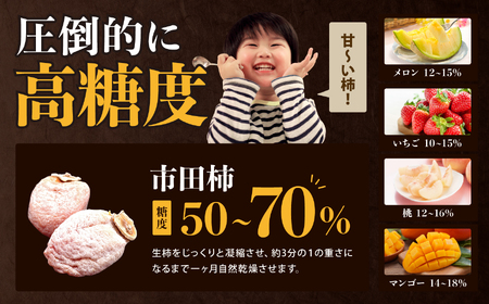 信州 特産品 市田柿 極 贈答用 2Lサイズ 12個入 〈2026年1月上旬～2月下旬発送〉| 果物 くだもの フルーツ 柿 干し柿 かき 長野県 信州 南信州 飯田市