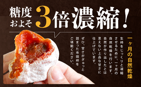 長野県産 ご家庭用 市田柿 300g × 3袋 ＜2026年1月上旬～2月下旬発送＞ | 果物 くだもの フルーツ 柿 かき 市田柿 干し柿 長野県 信州 南信州 飯田市