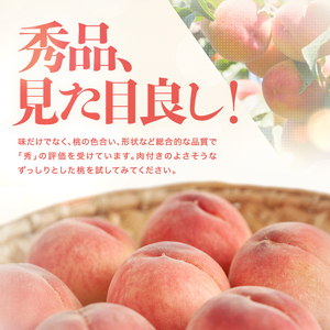 【2026先行予約】 桃 南信州産 あかつき 約5kg 秀品 | もも モモ 果物 くだもの フルーツ ジューシー 信州 南信州 送料無料 先行予約 ふるさと納税 長野県 飯田市