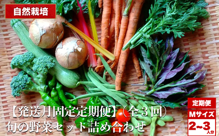 【定期便 3回】【2026先行予約】自然栽培 旬の野菜セット 詰め合わせ Mサイズ 2～3人分 くわのみ農園｜ 定期 野菜 セット 詰め合わせ 自然栽培 農薬不使用 やさい サラダ 採れたて とれたて 新鮮 季節限定 長野県 飯田市 信州