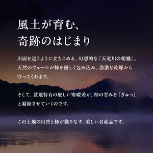 南信州産 市田柿 バラふぞろい 計600g　(300g×2袋) | 果物 くだもの フルーツ 加工品 ドライフルーツ 果物 フルーツ 柿 市田柿 干し柿 バラ セット 長野県 信州 南信州 飯田市