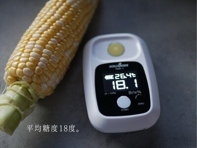 【2026年分先行受付】南信州産 完熟生とうもろこし 約5kg | 長野県 飯田市