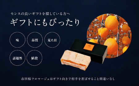 【ワインのおつまみにもオススメ】市田柿フロマージュ 100g×3個 戸田屋 | 長野県 飯田市
