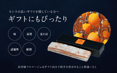 【ワインのおつまみにもオススメ】市田柿フロマージュ 200g×4個 戸田屋 | 長野県 飯田市