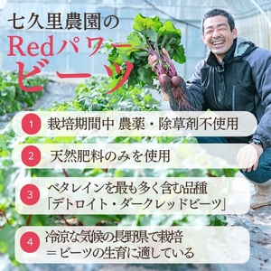 レッド パワー ビーツ ピューレ（ レシピ付き ） 120g × 3個 | 加工品 瓶詰 野菜 ビーツ ピューレ ビーツピューレ 栽培期間中農薬不使用 レシピ付き レシピ 長野県 信州 南信州 飯田市