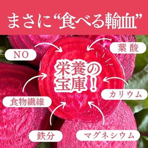 レッド パワー ビーツ 約1.5kg | 野菜 ビーツ 生ビーツ レッドパワー レッドパワービーツ 新鮮 長野県 信州 南信州 飯田市