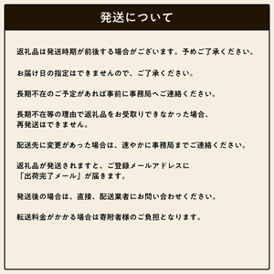 稲垣 美 甘酒 セット 300g × 3袋 | 飲料 飲み物 ノンアルコール 甘酒 あま酒 あまざけ 長野県 飯田市 信州