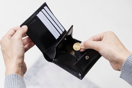 コードバン 二つ折り 財布 FLYING HORSE ( フライングホース ) | 財布 革 ホース レザー 長野県 飯田市