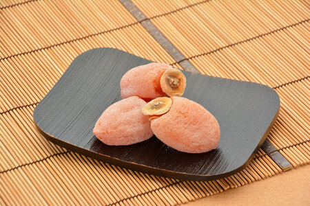 冷凍 熟成 市田柿 500g | 柿 干し柿 干しがき 果物 フルーツ 干柿 おやつ お菓子 スイーツ お取り寄せ グルメ ギフト プレゼント 贈り物 手土産 名産品 ドライフルーツ長野県 飯田市 信州