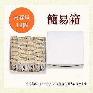 冷凍 熟成 市田柿 贈答用 12個 | 柿 干し柿 干しがき 果物 フルーツ 干柿 おやつ お菓子 スイーツ おつまみ お取り寄せ グルメ ギフト プレゼント 贈り物 手土産 名産品 ドライフルーツ長野県 飯田市 信州