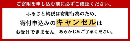 SEIKOプロスペックスSBPK001　GMTダイバースキューバ／メンズ 腕時計 プレゼント 信州 諏訪【61-118】