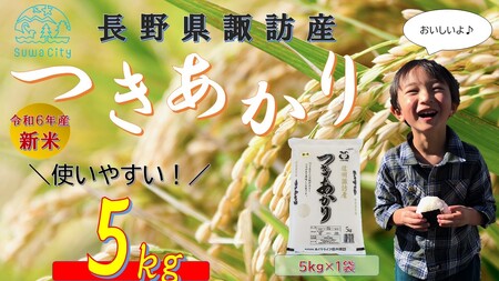 【 新米 】【 期間限定 (2025年3月10日まで受付) 】 【 オンライン決済限定 】 令和6年産 信州諏訪産 「 つきあかり 」 5kg ( 5kg×1袋 ) 単一米 白米 精米 少量 小分け ごはん 2024年産 信州 長野県 諏訪 諏訪市 【14-09】