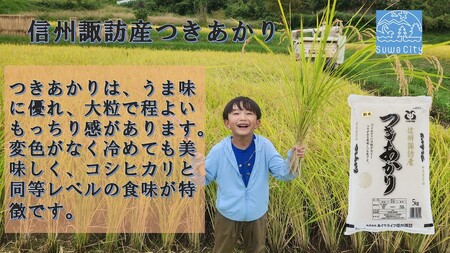 【 新米 】【 期間限定 (2025年3月10日まで受付) 】 【 オンライン決済限定 】 令和6年産 信州諏訪産 「 つきあかり 」 5kg ( 5kg×1袋 ) 単一米 白米 精米 少量 小分け ごはん 2024年産 信州 長野県 諏訪 諏訪市 【14-09】