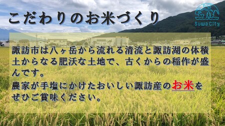 【 新米 】【 期間限定 (2025年3月10日まで受付) 】 【 オンライン決済限定 】 令和6年産 信州諏訪産 「 つきあかり 」 5kg ( 5kg×1袋 ) 単一米 白米 精米 少量 小分け ごはん 2024年産 信州 長野県 諏訪 諏訪市 【14-09】