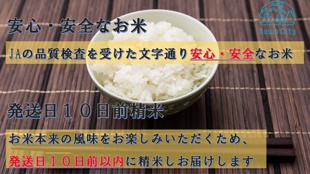 【 新米 】【 期間限定 (2025年3月10日まで受付) 】 【 オンライン決済限定 】 令和6年産 信州諏訪産 「 つきあかり 」 5kg ( 5kg×1袋 ) 単一米 白米 精米 少量 小分け ごはん 2024年産 信州 長野県 諏訪 諏訪市 【14-09】