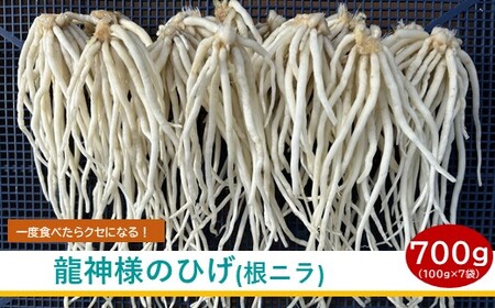 [2026年3月20日まで受付] 根ニラ[龍神様のひげ] 700g[100g×7袋]/ すわファーム 根ニラ 野菜 [91-01]