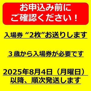 第77回諏訪湖祭湖上花火大会「ふるさと寄附」ペア入場券（石彫公園）プレミアムエリア（※注意事項を必ずご確認の上、お申し出ください）／諏訪湖祭実行委員会 花火大会 諏訪湖 信州 長野県 諏訪市 諏訪 花火 花火 花火 花火 花火 【56-05】