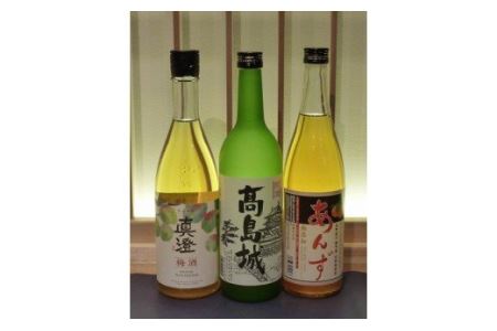 10-08 高島城・果実酒セット/信濃屋