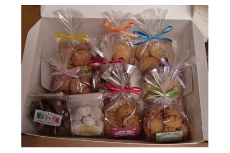 クッキーと焼き菓子の詰め合わせ 10点セット / 社会福祉法人この街福祉会 信州 長野県 諏訪市 諏訪 [54-01]
