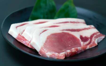 国産 豚肉 詰め合わせ4種2.8kg 大容量だけど小分けで便利！ 諏訪ブランド豚 食べ比べ 【65-02】／株式会社　meatstyleイイダ