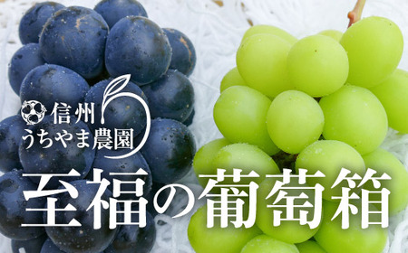 【秋に届く】至福の葡萄箱 1kg以上！（シャインマスカット1房＆ナガノパープル1房）《信州うちやま農園》■2024年発送■※8月下旬頃～10月下旬頃まで順次発送予定