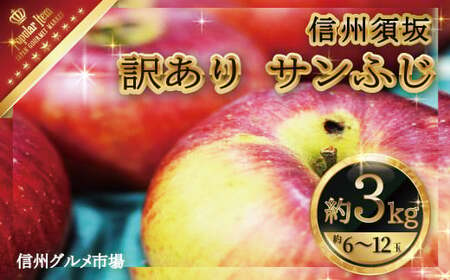 訳あり サンふじ約3kg（約6～12玉）家庭用《信州グルメ市場》■2024年～2025年発送■※11月中旬頃～1月下旬頃まで順次発送予定