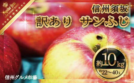 訳あり サンふじ約10kg（約22～40玉）家庭用《信州グルメ市場》■2024年～2025年発送■※11月中旬頃～1月下旬頃まで順次発送予定