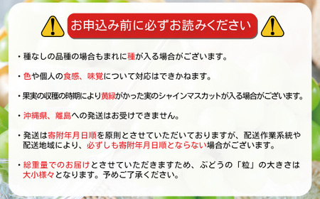 【先行受付】バラバラくん3色セット 合計約1kg (ナガノパープル・クイーンルージュ® ・シャインマスカット)《信州うちやま農園》■2025年発送■※8月下旬頃～10月下旬頃まで順次発送予定