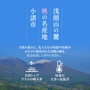 2026年発送 先行予約 「浅間水蜜桃プレミアム」 もも あかつき 秀品 約2kg 5～9玉 ふるさと納税 果物 桃 フルーツ モモ 果肉  長野県産 小諸市