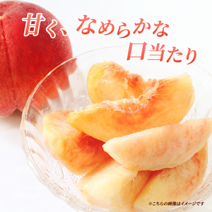 2026年発送 先行予約 「浅間水蜜桃プレミアム」 もも なつっこ 秀品 約2kg 5～9玉 ふるさと納税 果物 桃 フルーツ モモ 果肉  長野県産 小諸市 