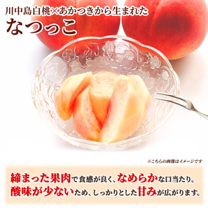 2026年発送 先行予約 「浅間水蜜桃プレミアム」 もも なつっこ 秀品 約2kg 5～9玉 ふるさと納税 果物 桃 フルーツ モモ 果肉  長野県産 小諸市 