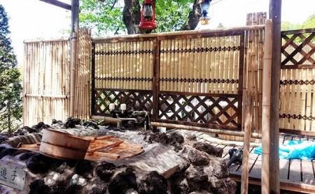 青雲館 宿泊券 1泊2食付き【1名様分】長野 信州 小諸 スローフード 信州 ご当地 グルメ 旅行