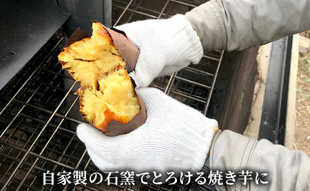 干し焼き芋　8袋入り 約1.4kg さつまいも 加工食品 乾物 野菜 サツマイモ ドライフルーツ 紅はるか スイーツ