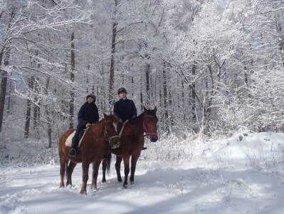 まきば軽井沢 まったり100分乗馬体験 1名様 長野 信州 小諸 大自然 体験チケット