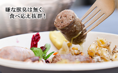 小諸産 鹿肉ソーセージ5種詰め合わせ(プレーン・チョリソー・ブラックペッパー・クルミ・チーズ)