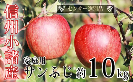 信州小諸産 ご家庭用 サンふじりんご 約10kg 長野 林檎 リンゴ 訳あり 自家用