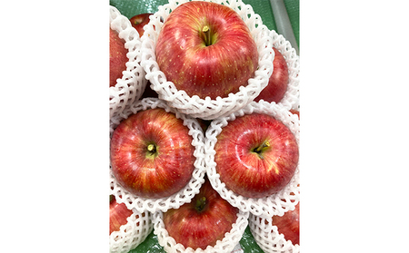 信州サンふじ 約3kg 松澤農園 りんご リンゴ 林檎 長野 果物類