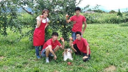 小諸産シードル　家飲み8本セット（DRY・SEMISWEET) ワイン お酒 