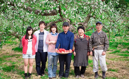 信州シナノスイート 約3kg 松澤農園 果物類 林檎 りんご リンゴ