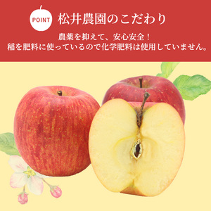 信州小諸 松井農園のサンふじ 約3.5kg 果物類・林檎・りんご・リンゴ