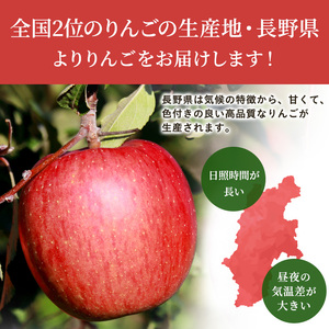 信州小諸 松井農園のサンふじ 約3.5kg 果物類・林檎・りんご・リンゴ