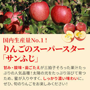 信州小諸産 サンふじ りんご 家庭用 小玉 約10kg 長野県産 果物類 林檎 リンゴ