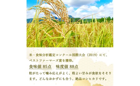 【6ヵ月定期便】ベストファーマーズ賞受賞　コシヒカリ【無洗米】5kg