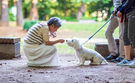 オーガニック鹿肉ペットフード(犬用)ドライタイプ 100g×4袋、1kg×2袋 エサ