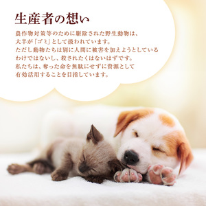 小諸産 KomoroPremium 4種類詰め合わせ(鹿肉ジャーキー・ウエットフード・ドライフード・アキレス腱)