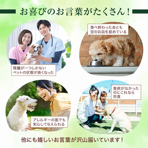 小諸産 KomoroPremium 4種類詰め合わせ(鹿肉ジャーキー・ウエットフード・ドライフード・アキレス腱)