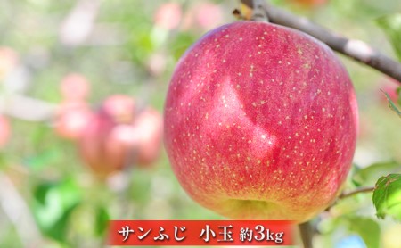 松澤農園 信州サンふじ小玉約3kg