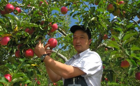 りんごジュース1000ml×3 ふじ3本セット 飲料類 果汁 飲料 果物 ギフト