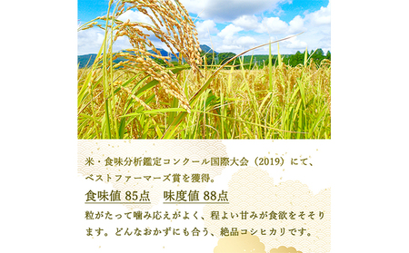 【4ヵ月定期便】ベストファーマーズ賞受賞 コシヒカリ【玄米】5kg